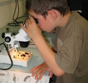School Microscope