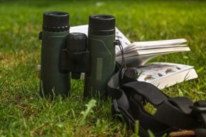 Binoculars for Bird watching