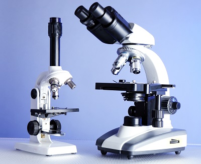 Stereo and compound Microscopes