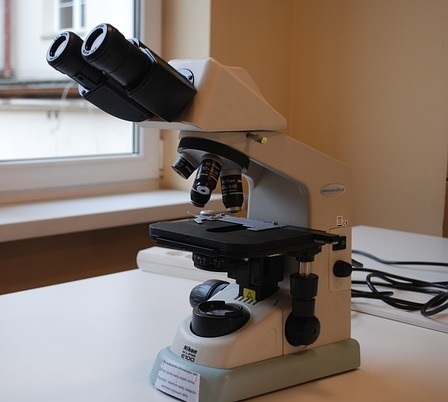 First Microscope