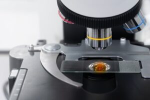 What is a Compound Microscope and How does it Work