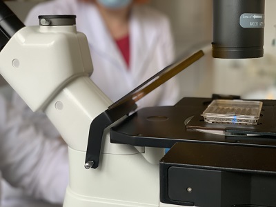 Inverted Microscope